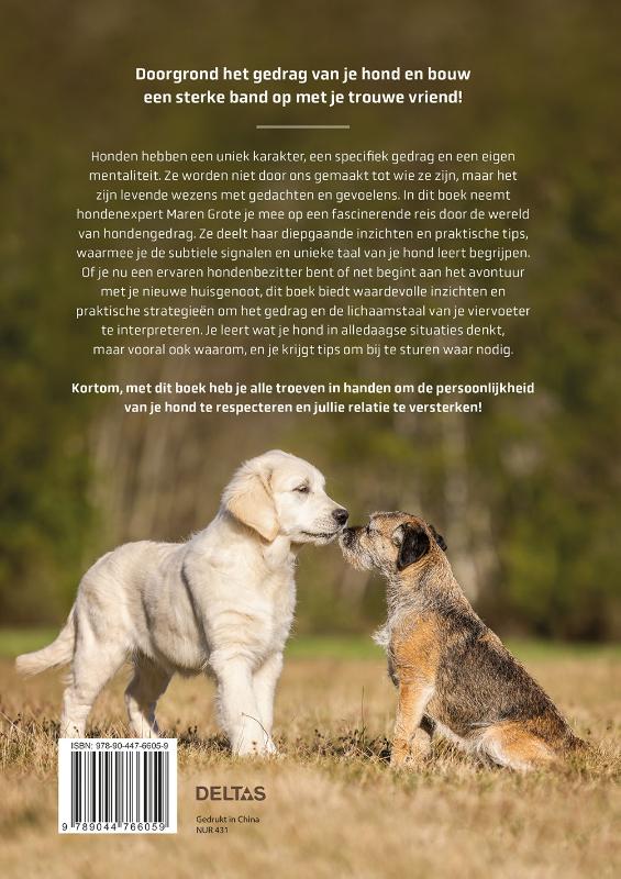 Achterkant van Honden beter begrijpen