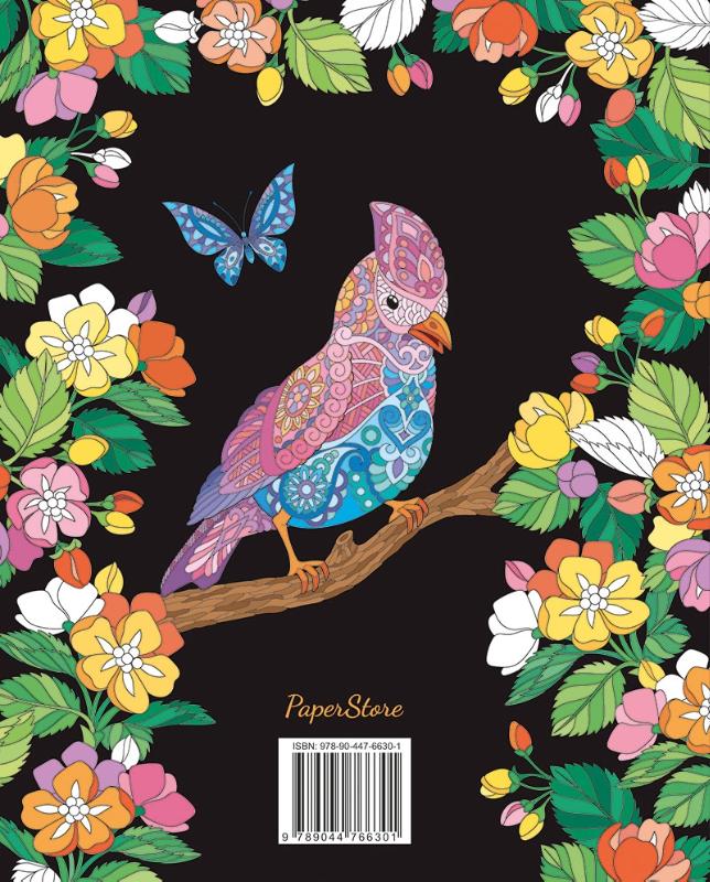 Achterkant van Lovely Birds Kleurboek