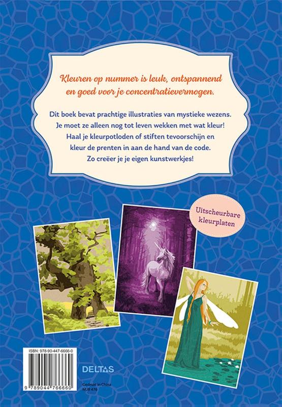 Achterkant van Kleuren op nummer voor volwassenen Fantasy