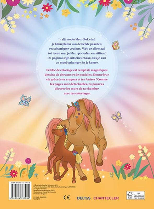 Achterkant van Ik hou van paarden kleurblok / J'aime les chevaux bloc de coloriage
