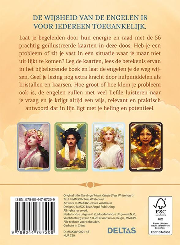 Achterkant van Het orakel van de engelen