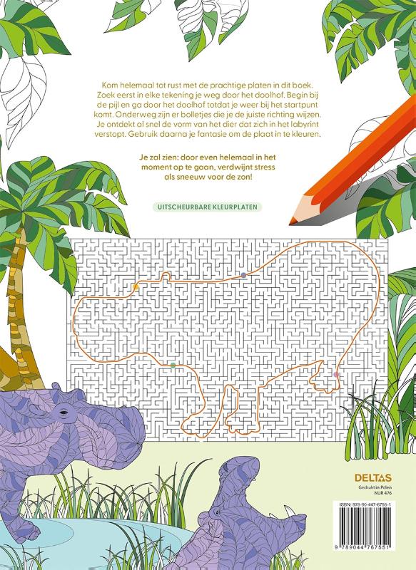 Achterkant van Magische doolhoven kleurboek voor volwassenen