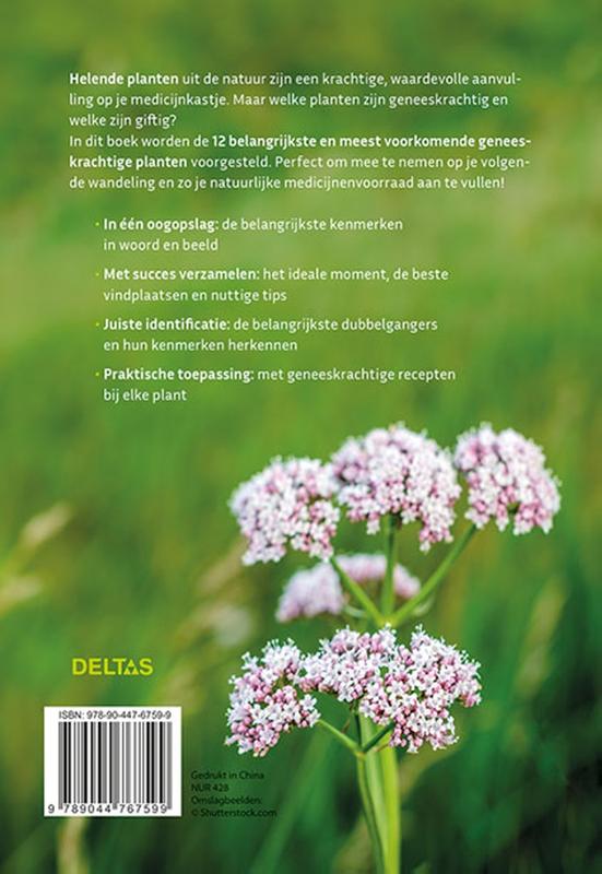 Achterkant van Geneeskrachtige planten herkennen en gebruiken