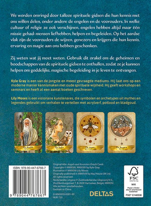 Achterkant van De wijsheid van de spirituele gidsen
