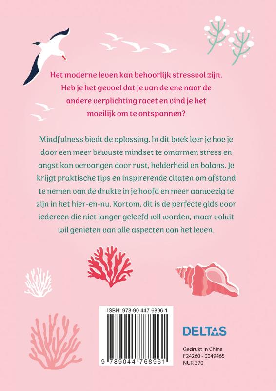 Achterkant van Het pad naar Mindfulness
