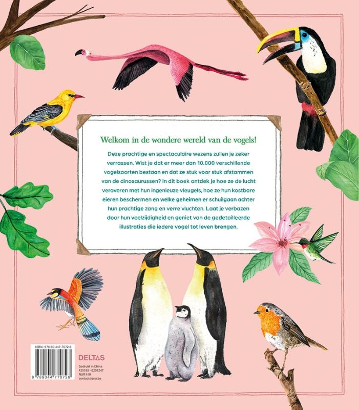 Achterkant van De wondere wereld van de vogels