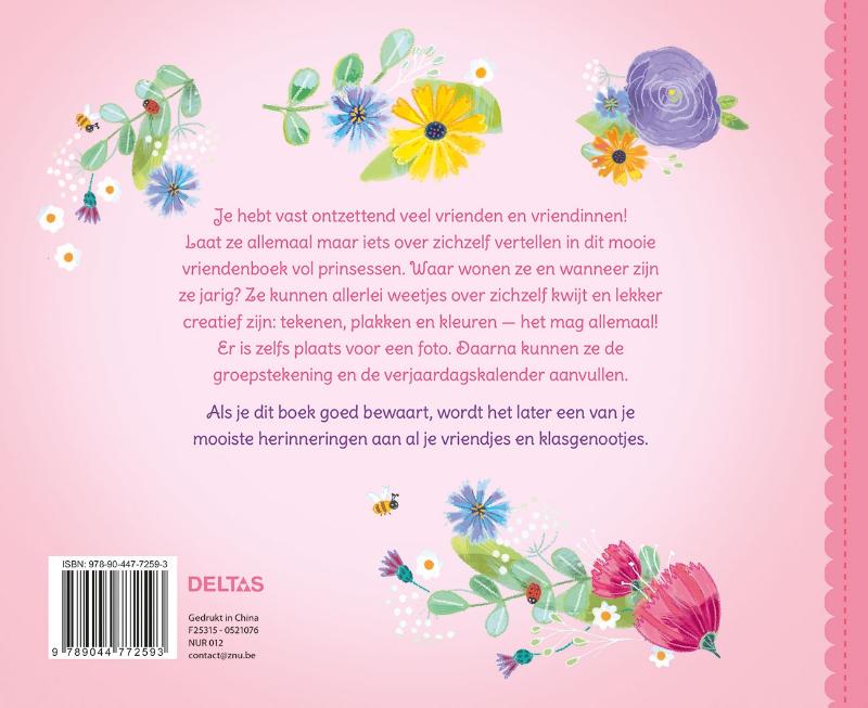 Achterkant van Lieve prinsessen vriendenboek