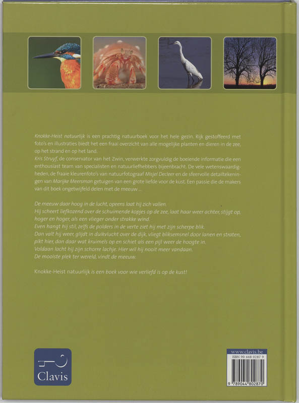 Achterkant van Knokke-Heist natuurlijk