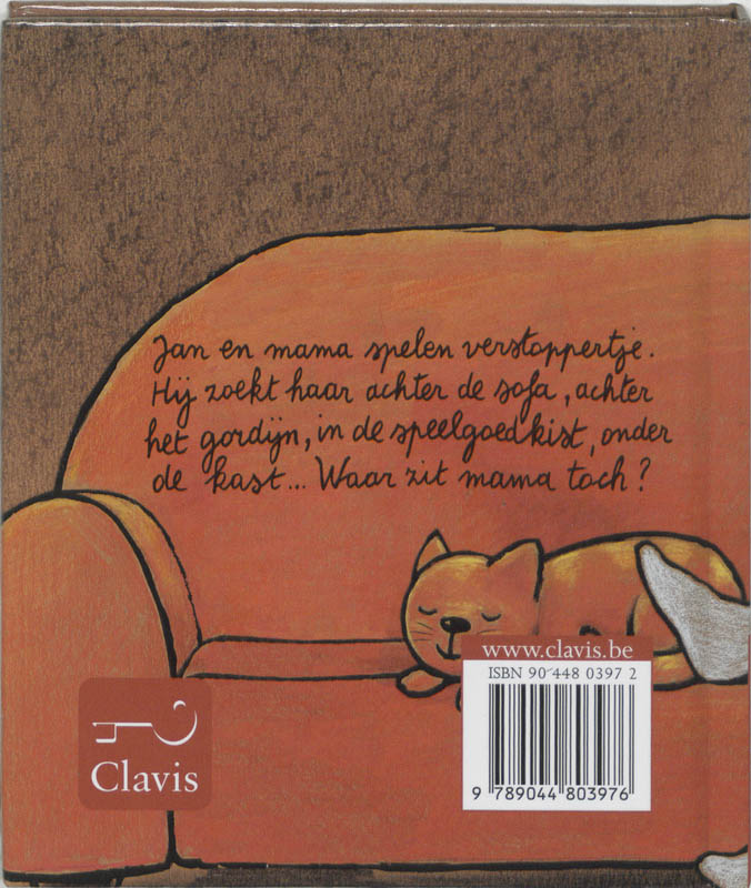 Achterkant van Mini