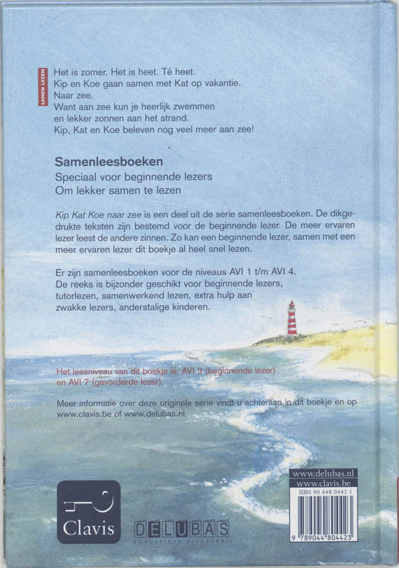 Achterkant van Avi 3