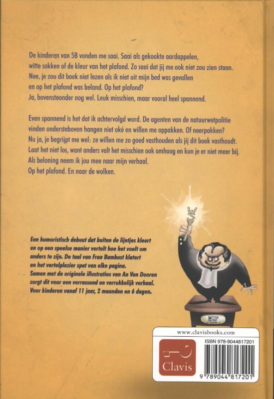 Achterkant van Plafondmeisje
