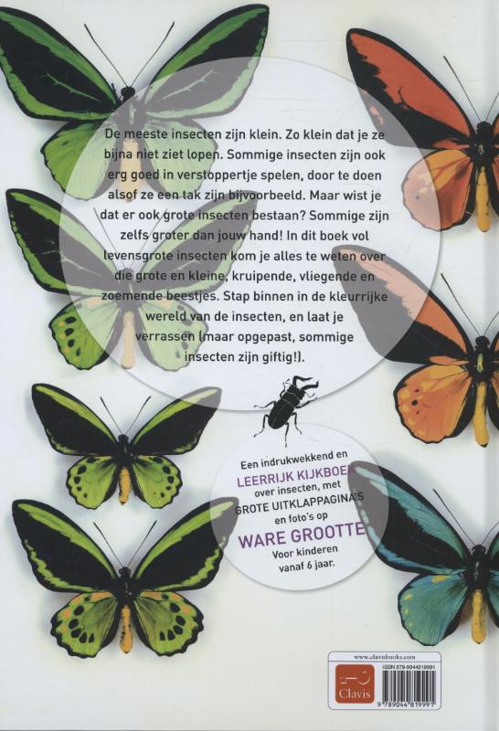 Achterkant van Insecten
