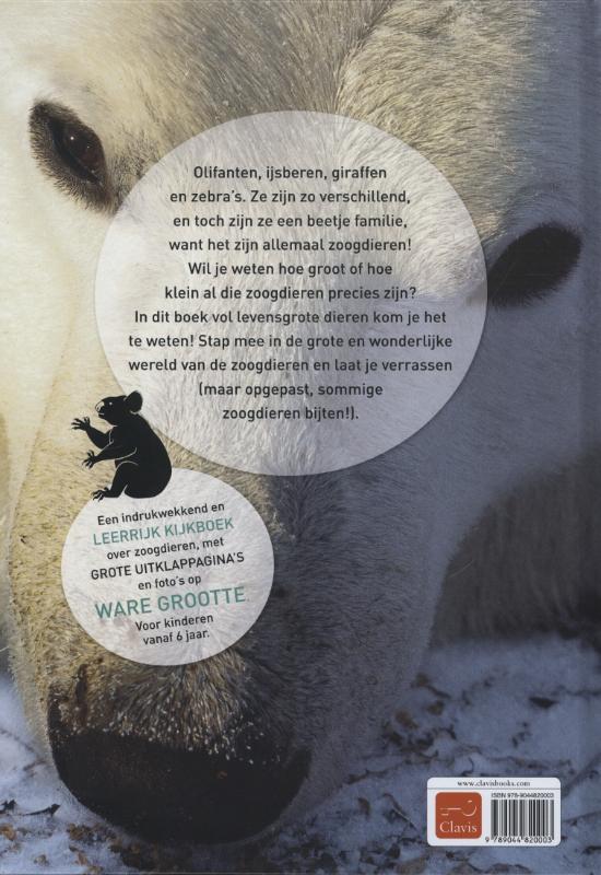 Achterkant van Zoogdieren