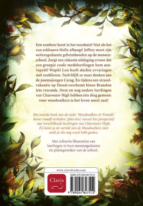 Achterkant van Twaalf geheimen