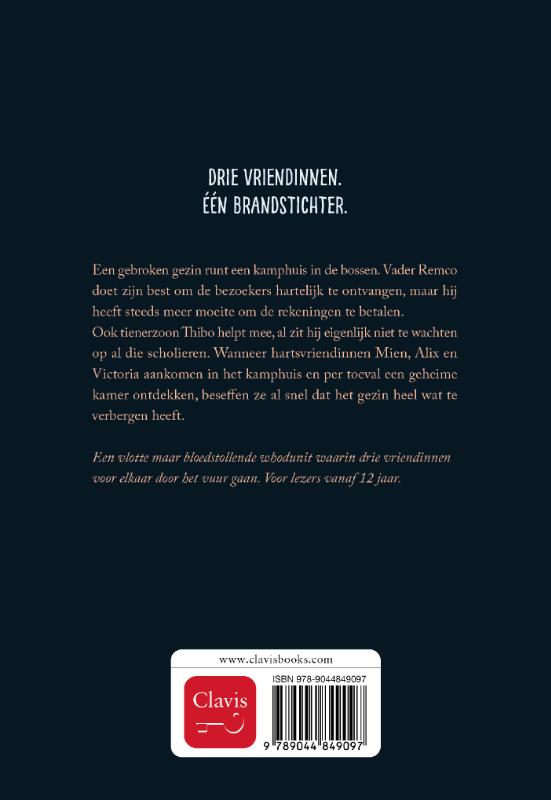 Achterkant van Je speelt met vuur