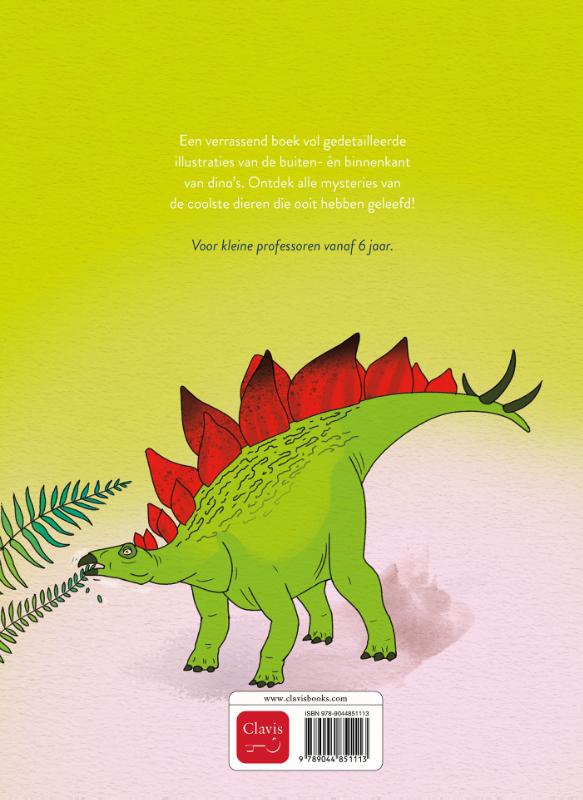 Achterkant van Dino's vanbinnen en vanbuiten