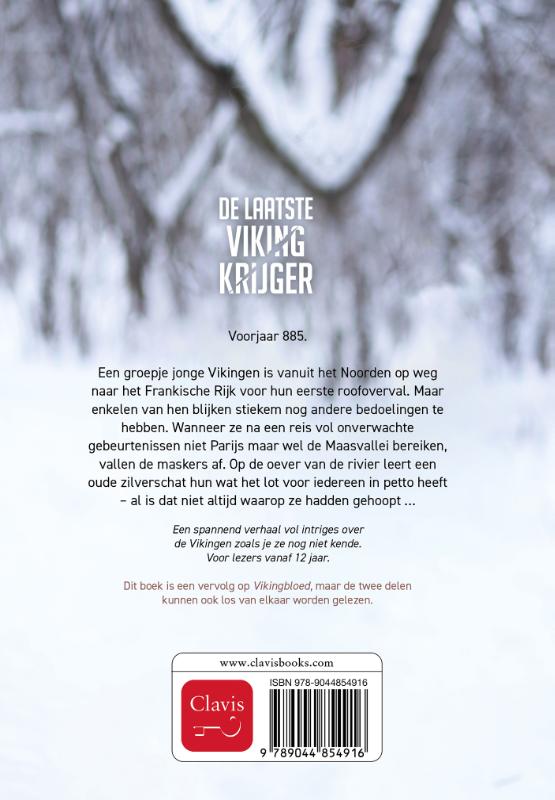 Achterkant van De laatste Vikingkrijger