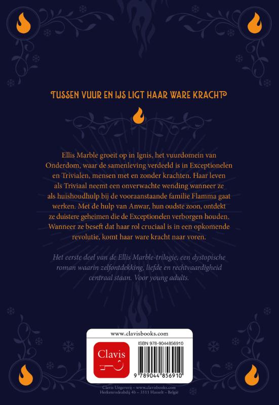 Achterkant van De bevroren vlammenzee