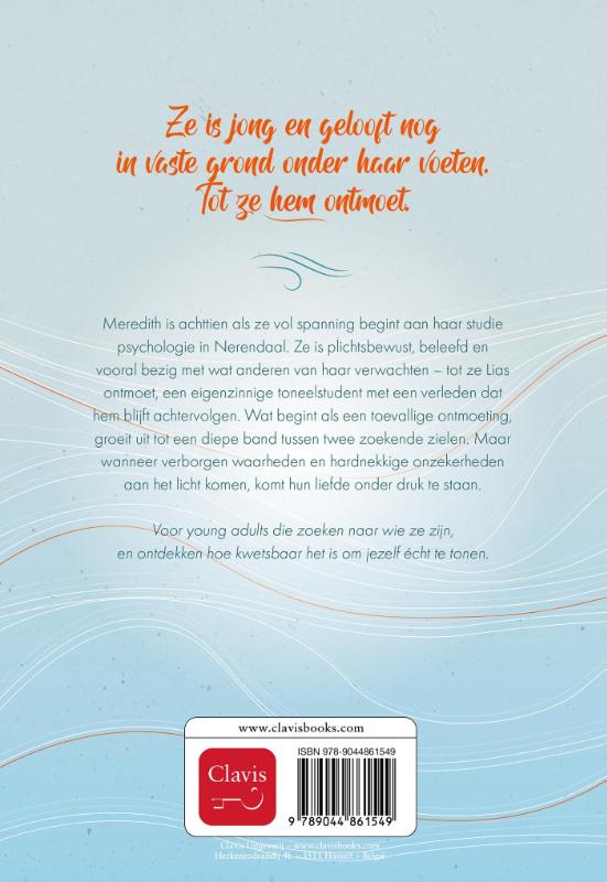 Achterkant van Het meeuwenlied