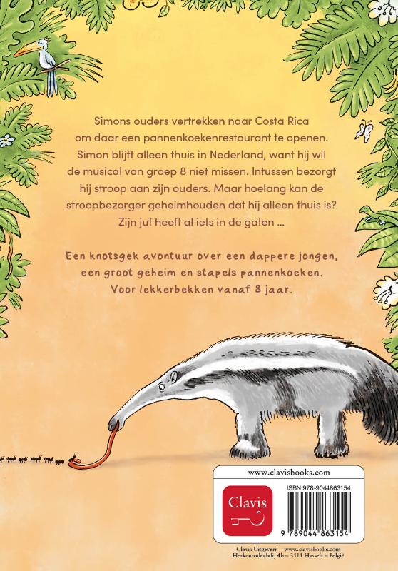 Achterkant van Het geheim van de stroopbezorger