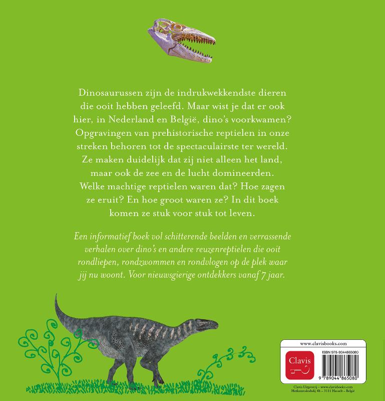 Achterkant van Dino's in Nederland en België