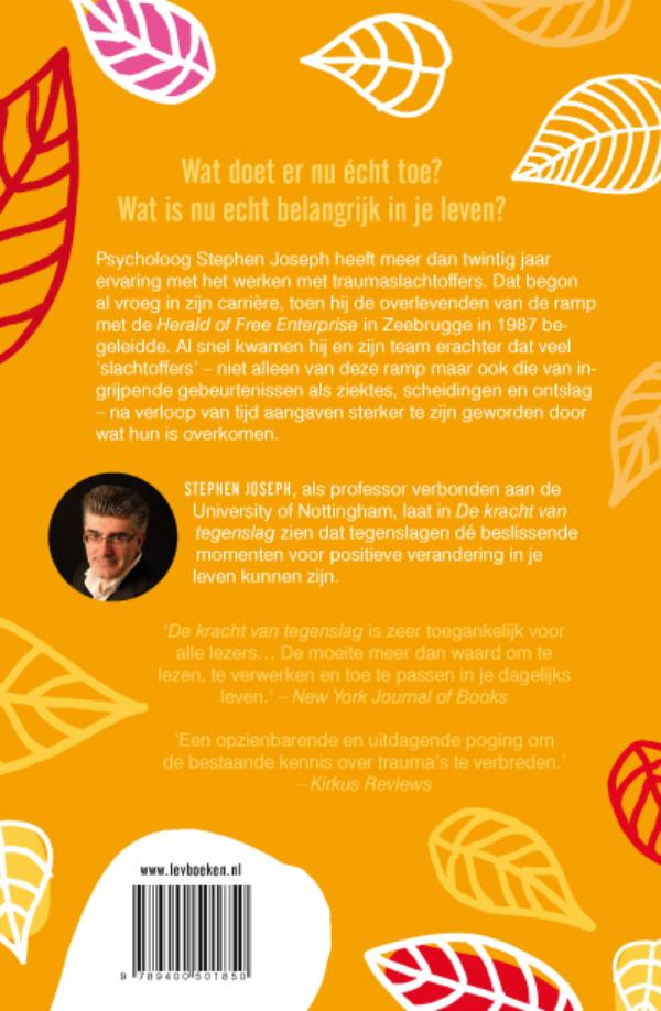 Achterkant van De kracht van tegenslag