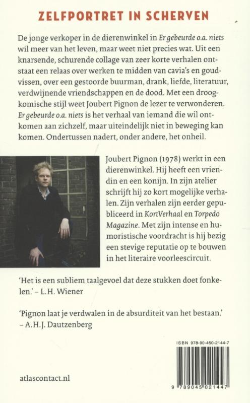 Achterkant van Er gebeurde o.a. niets