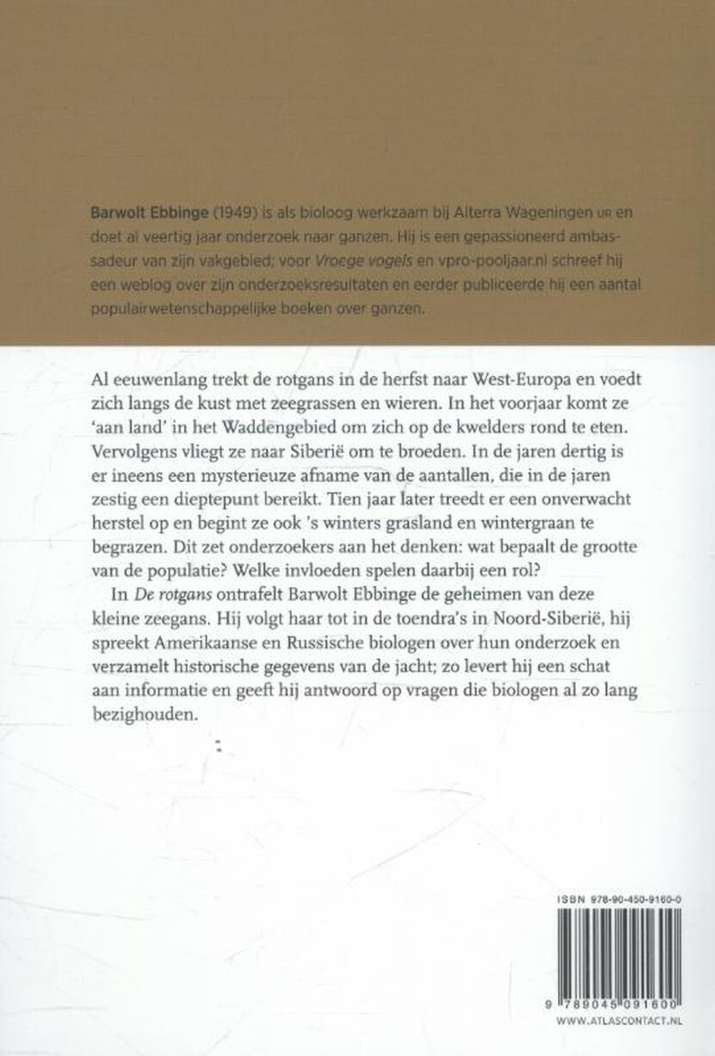 Achterkant van De rotgans