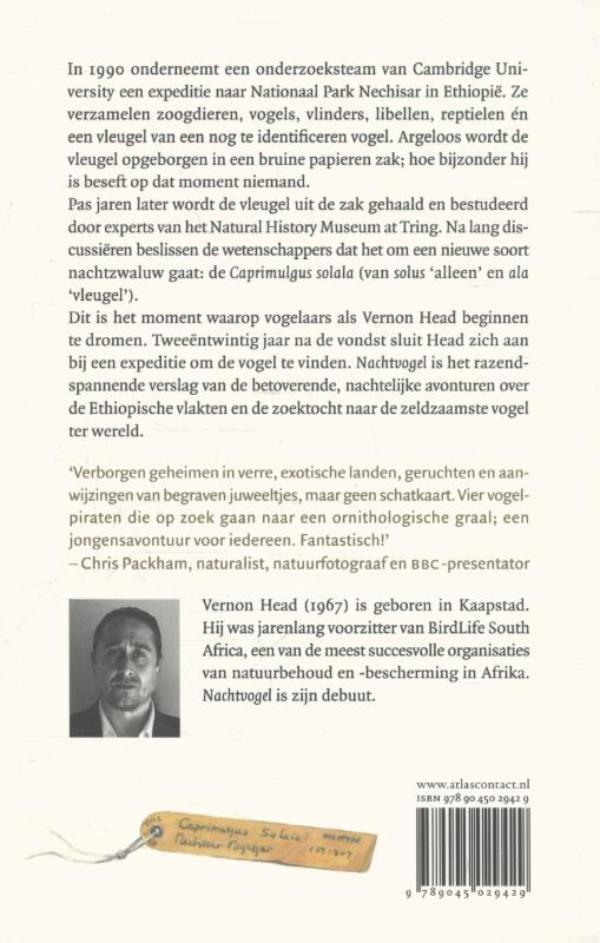 Achterkant van Nachtvogel