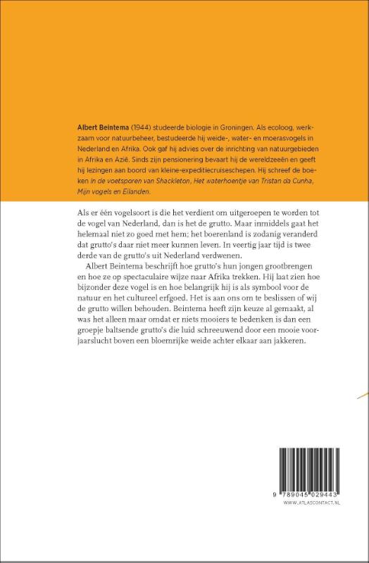 Achterkant van De grutto