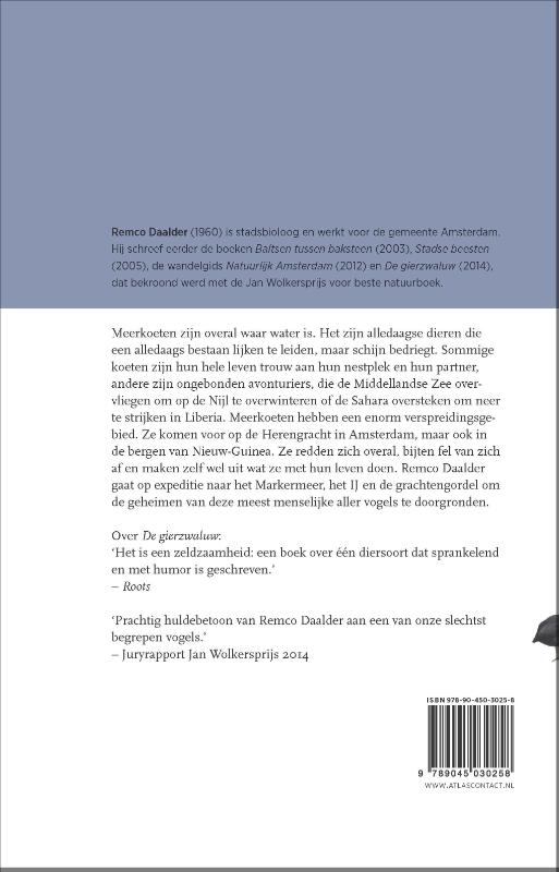 Achterkant van De meerkoet