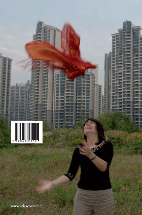 Achterkant van Shanghai skyline