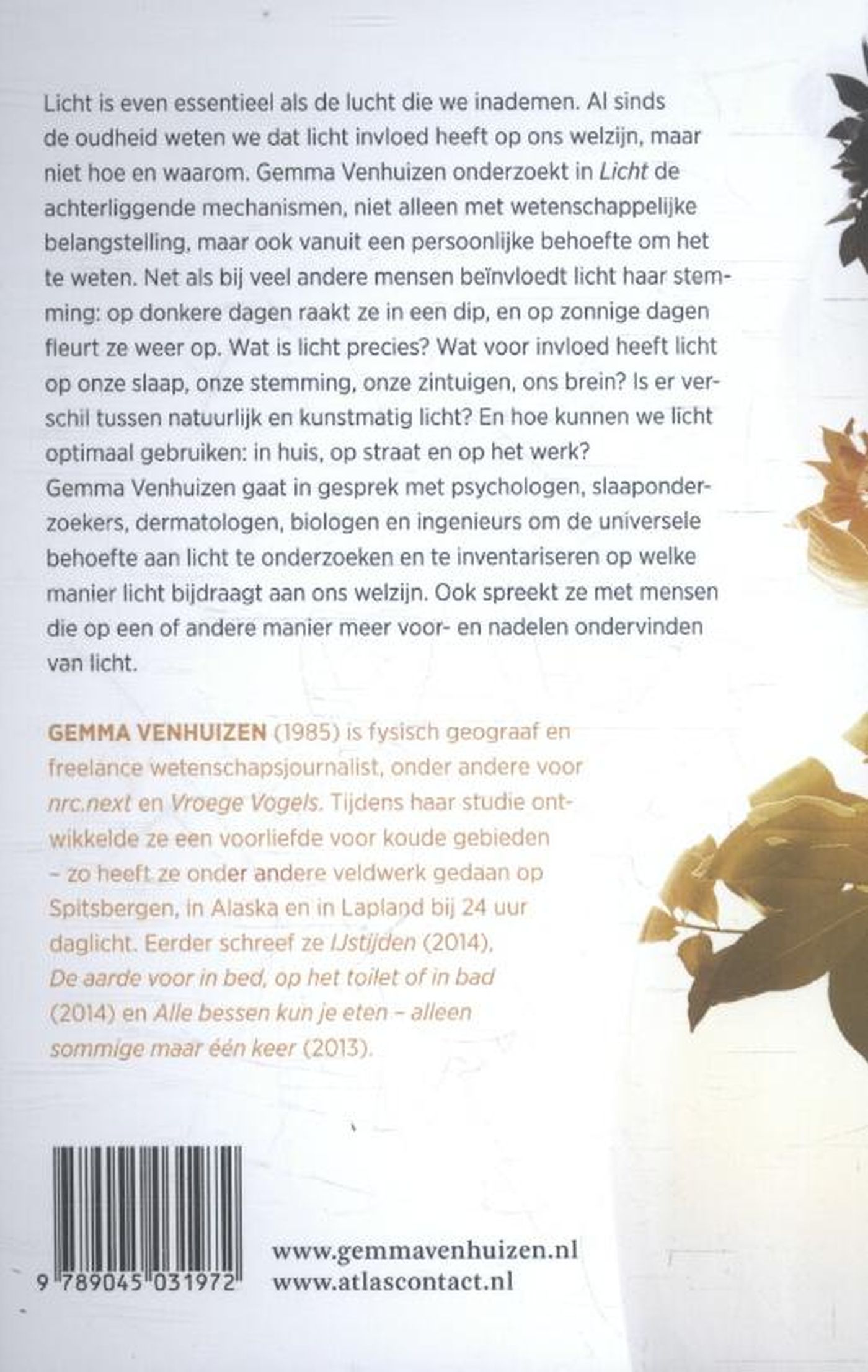 Achterkant van Licht