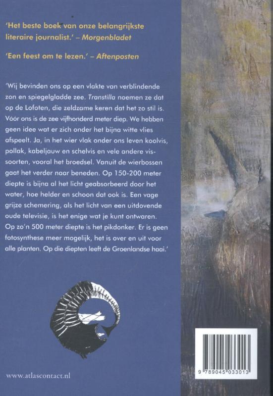 Achterkant van Haaienkoorts