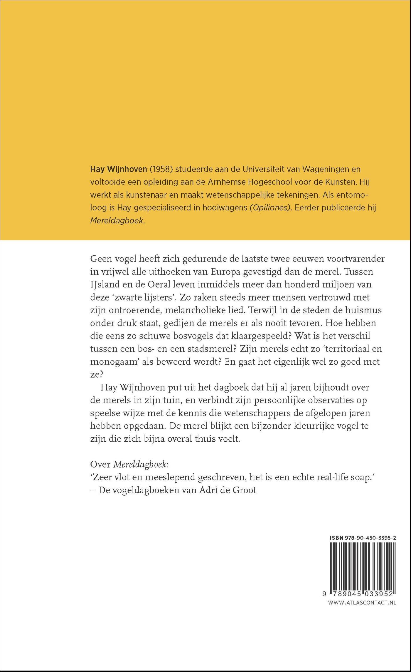 Achterkant van De merel