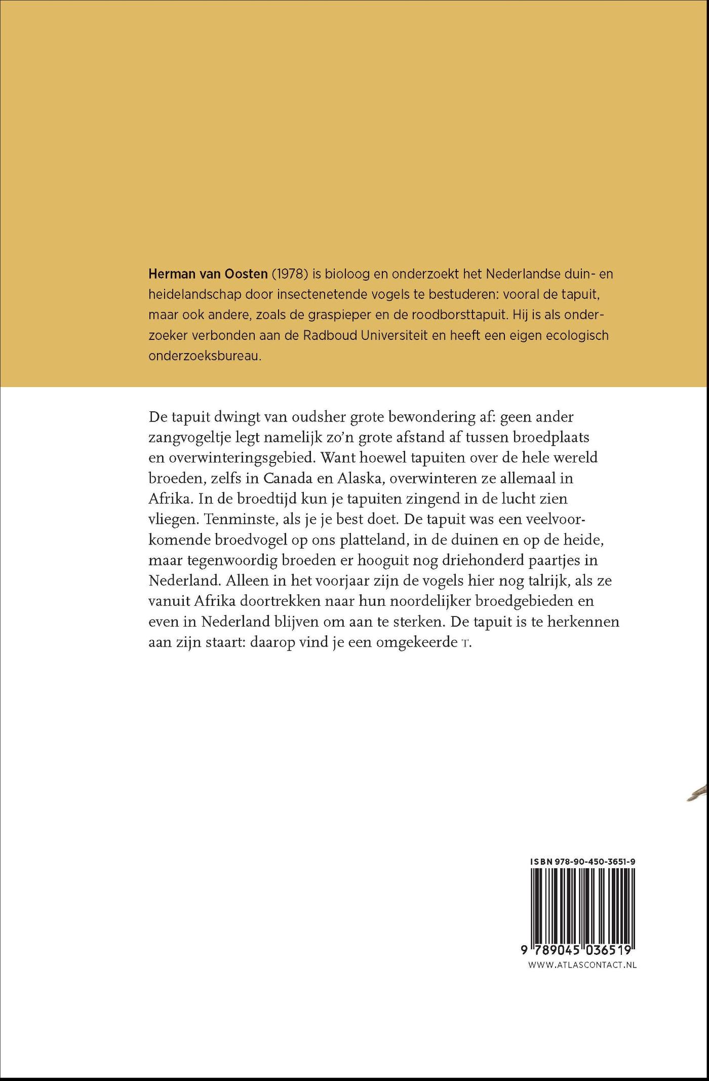 Achterkant van De tapuit