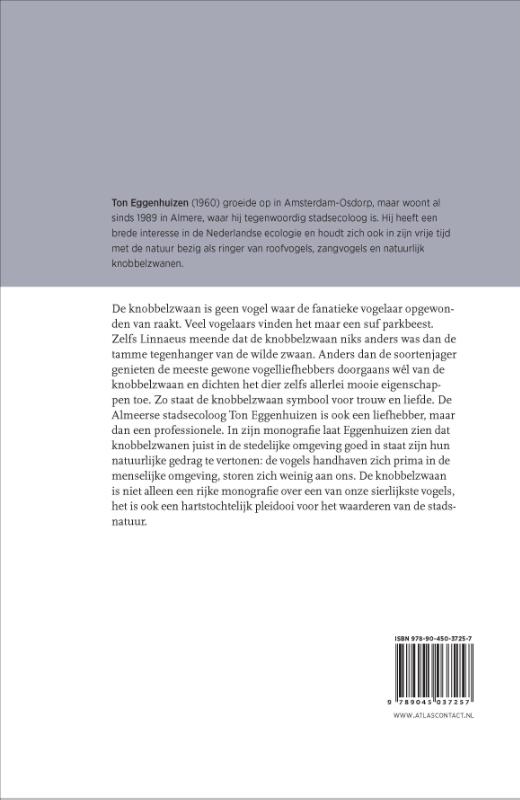 Achterkant van De knobbelzwaan