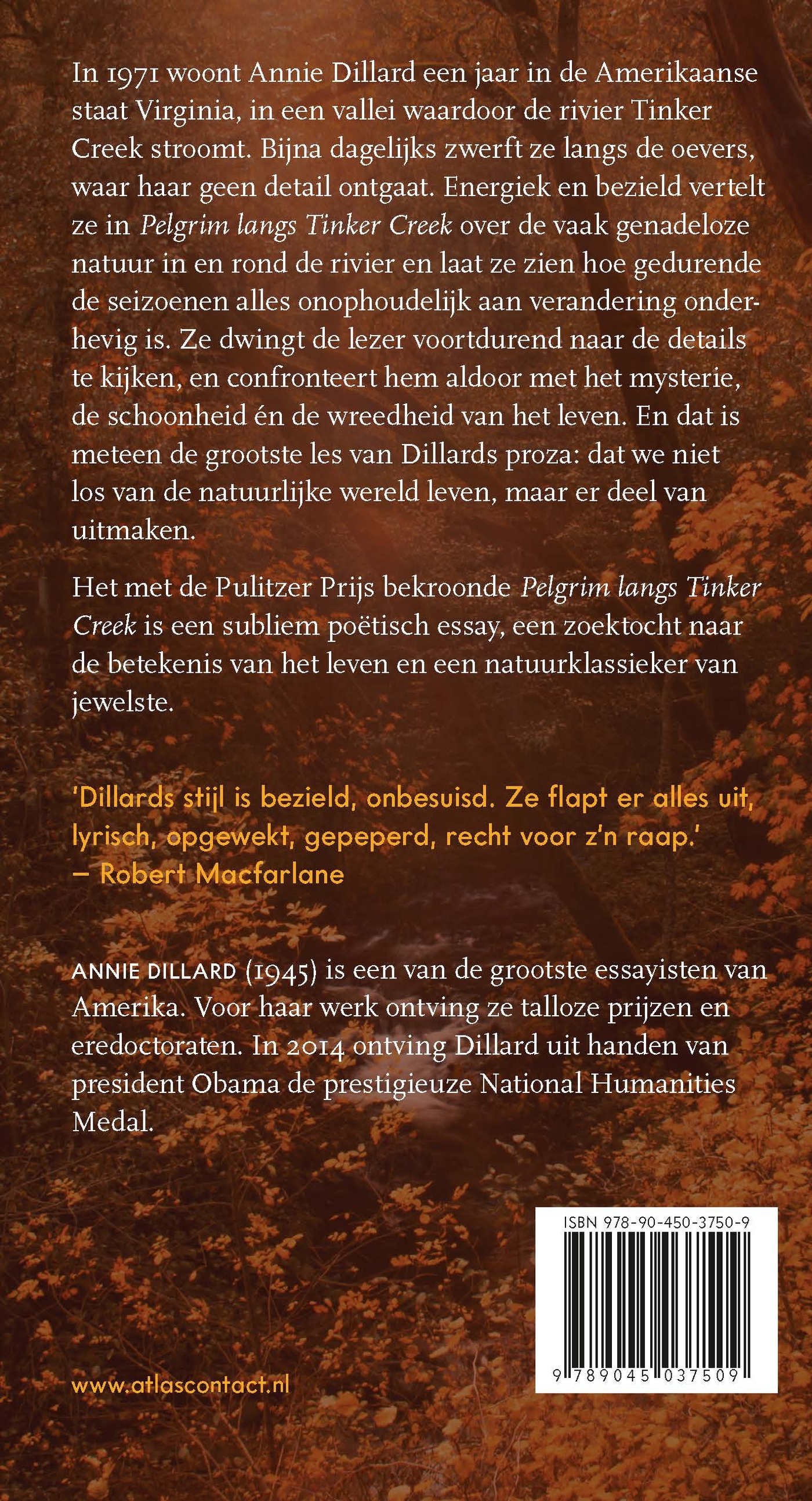 Achterkant van Pelgrim langs Tinker Creek