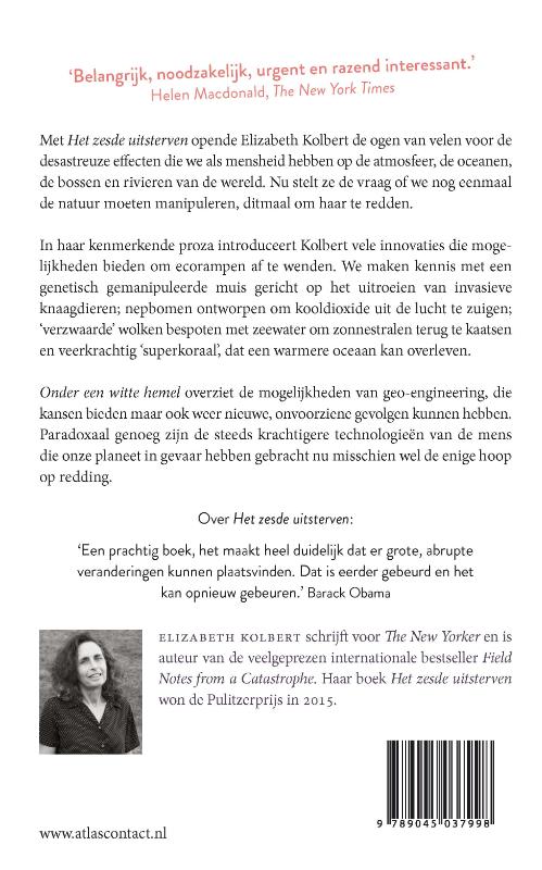 Achterkant van Onder een witte hemel