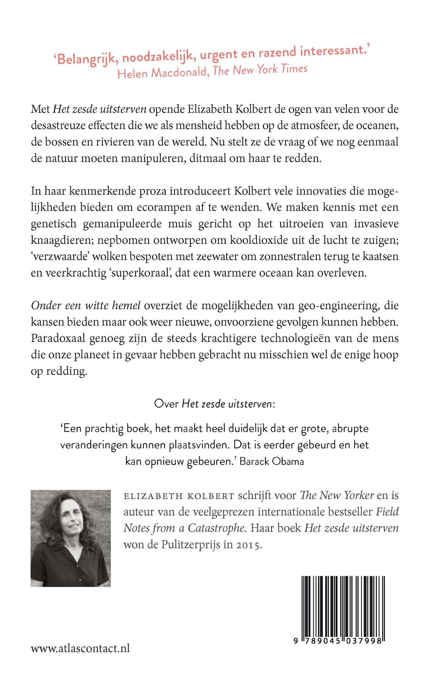 Achterkant van Onder een witte hemel