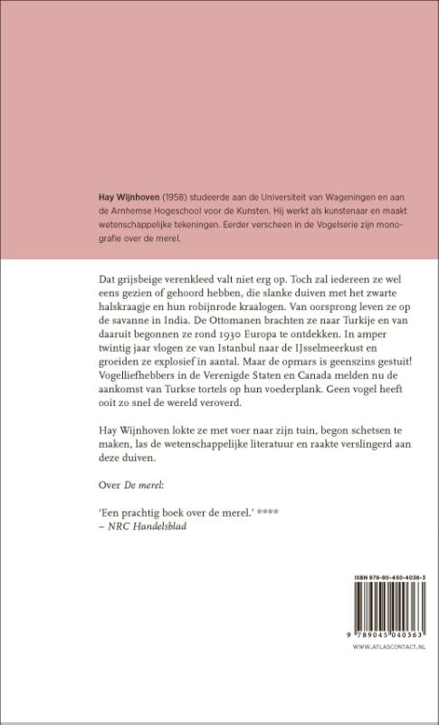 Achterkant van De Turkse tortel