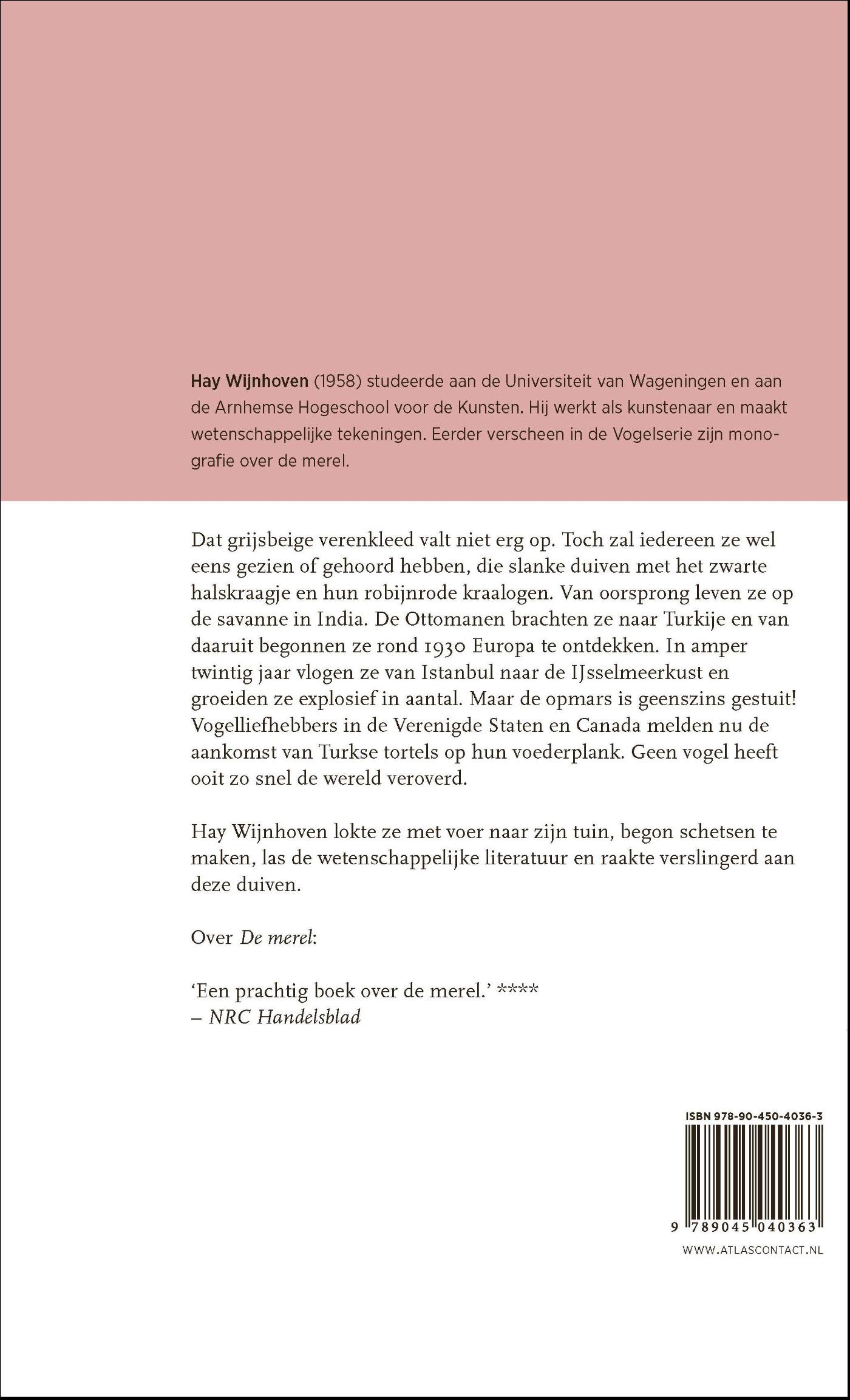 Achterkant van De Turkse tortel