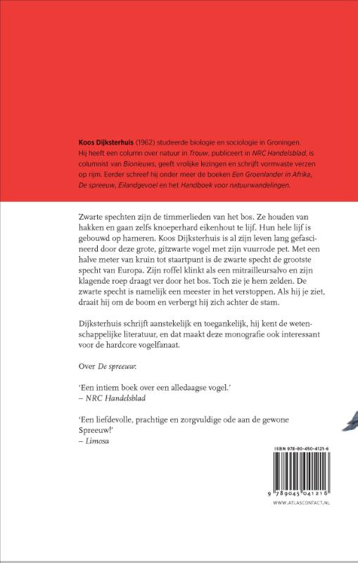 Achterkant van De zwarte specht