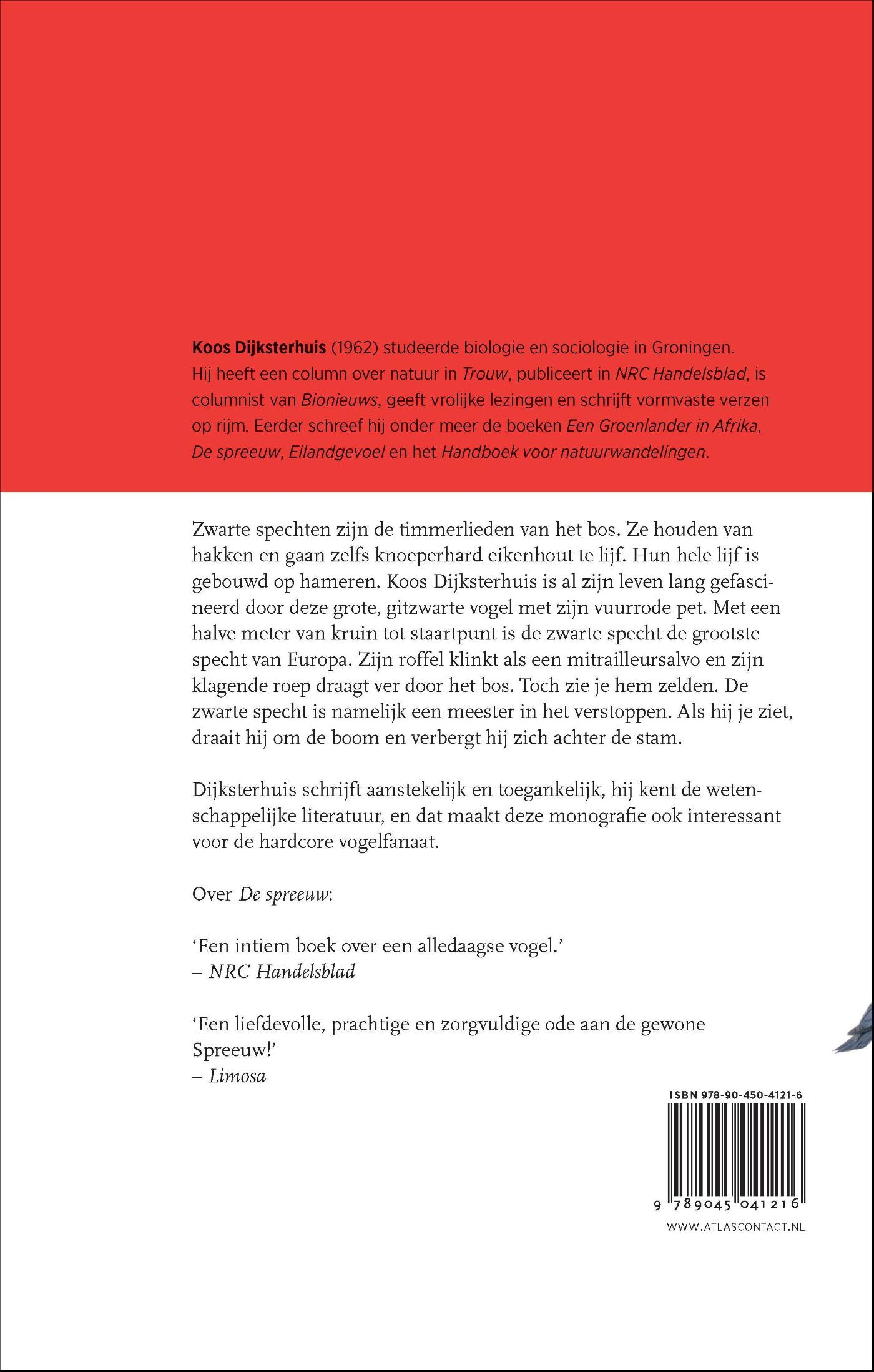 Achterkant van De zwarte specht