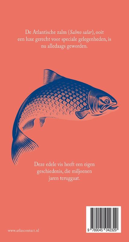 Achterkant van Zalm