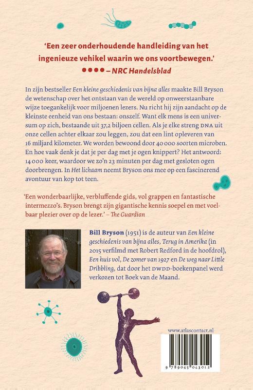 Achterkant van Het lichaam