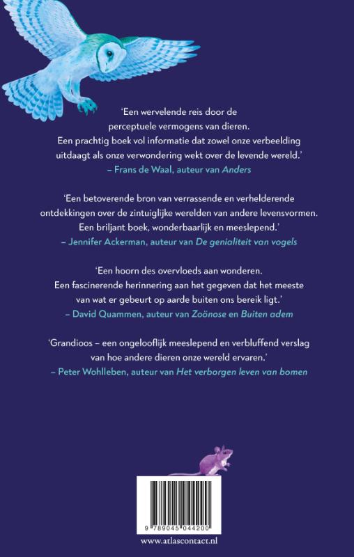 Achterkant van Een Immense wereld