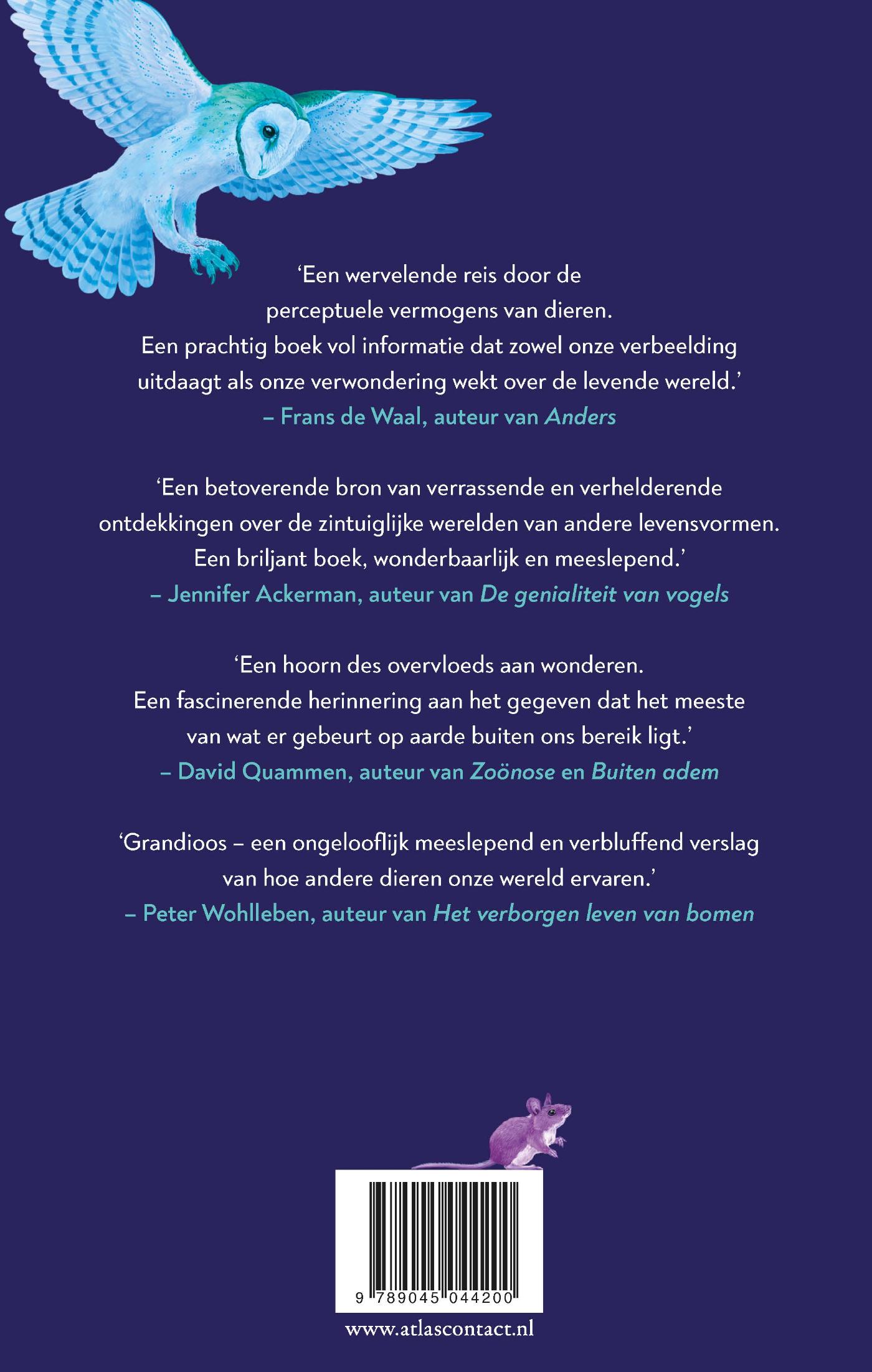 Achterkant van Een Immense wereld