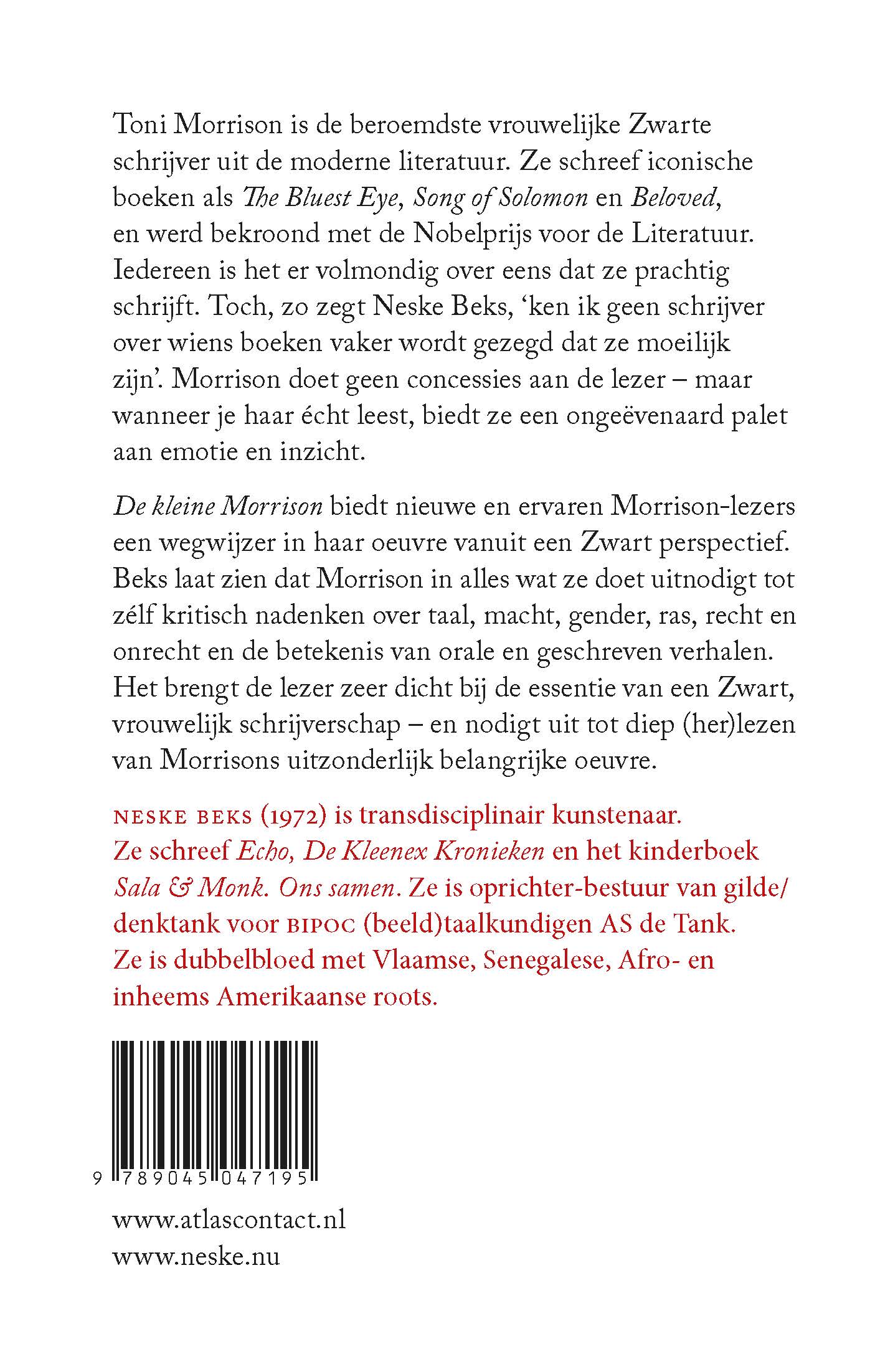 Achterkant van De kleine Morrison