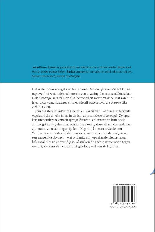 Achterkant van De ijsvogel